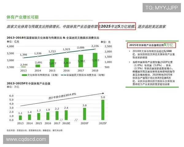 CBA联赛商业价值分析：品牌与市场发展